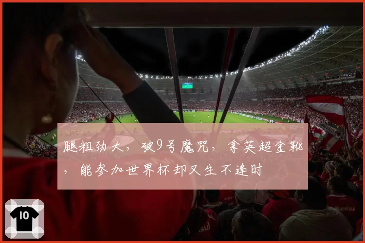 腿粗劲大，破9号魔咒，拿英超金靴，能参加世界杯却又生不逢时