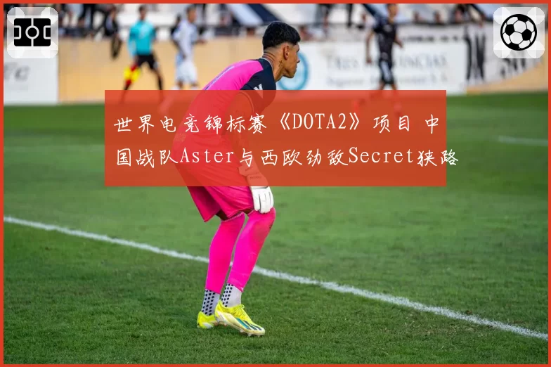 世界电竞锦标赛《DOTA2》项目 中国战队Aster与西欧劲敌Secret狭路相逢
