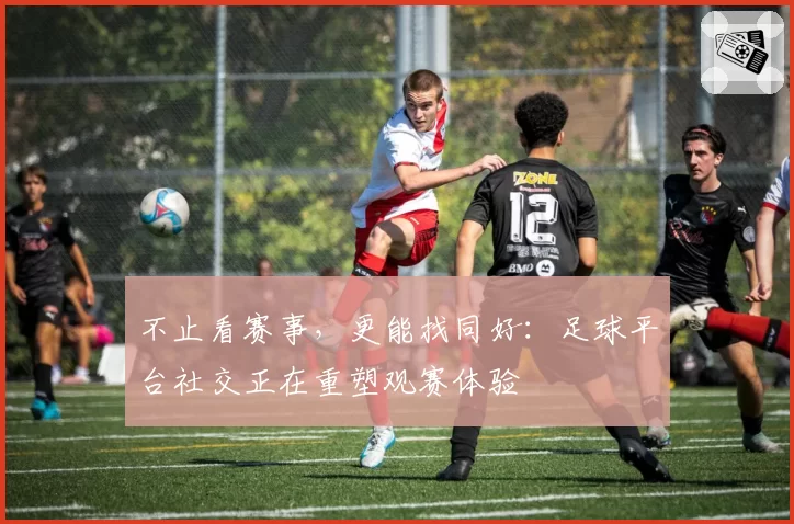 不止看赛事，更能找同好：足球平台社交正在重塑观赛体验