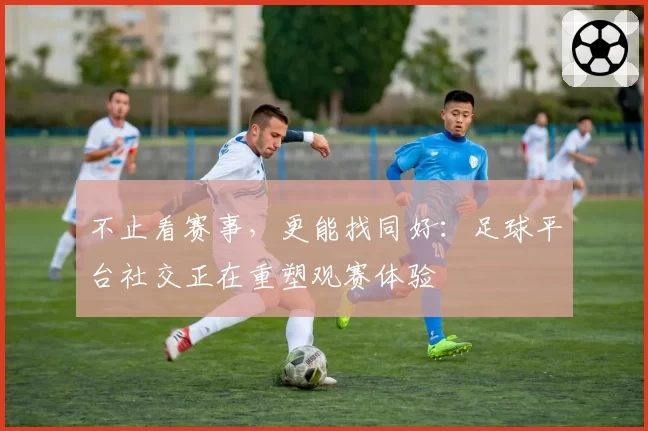 不止看赛事，更能找同好：足球平台社交正在重塑观赛体验
