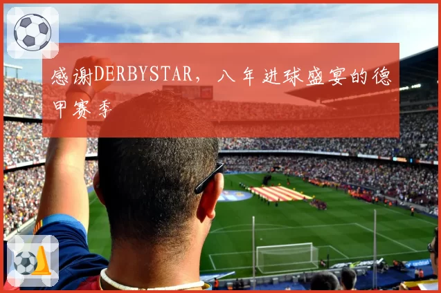 感谢DERBYSTAR，八年进球盛宴的德甲赛季