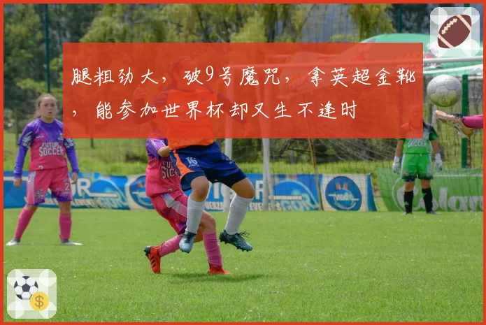 腿粗劲大，破9号魔咒，拿英超金靴，能参加世界杯却又生不逢时