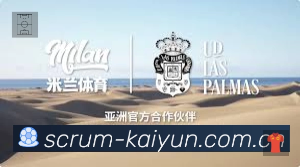 开云App 功能展示